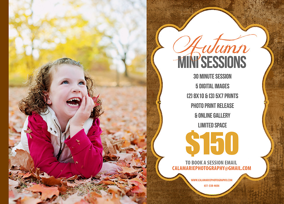 FALL-MINI-SESSION2